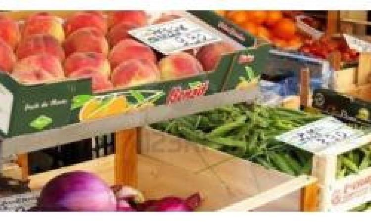 Civitanova, riparte il mercato in Centro, Ciarapica: "Sono contrario ma non mi è permesso evitarlo" Civitanova, riparte il mercato in Centro, Ciarapica: "Sono contrario ma non mi è permesso evitarlo"