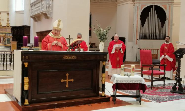 Pasqua 2020, il messaggio del vescovo Massara: "Non abbiate paura" (VIDEO)