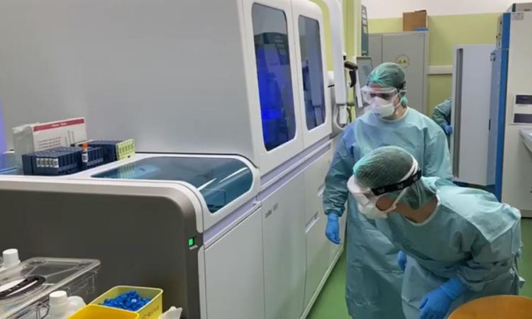 Covid Marche, oltre 5.400 nuovi casi oggi: più contagi nella fascia di età 25-44 anni Covid Marche, oltre 5.400 nuovi casi oggi: più contagi nella fascia di età 25-44 anni