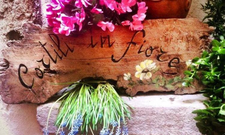 Camerino, nasce il contest "Bacheche in fiore"