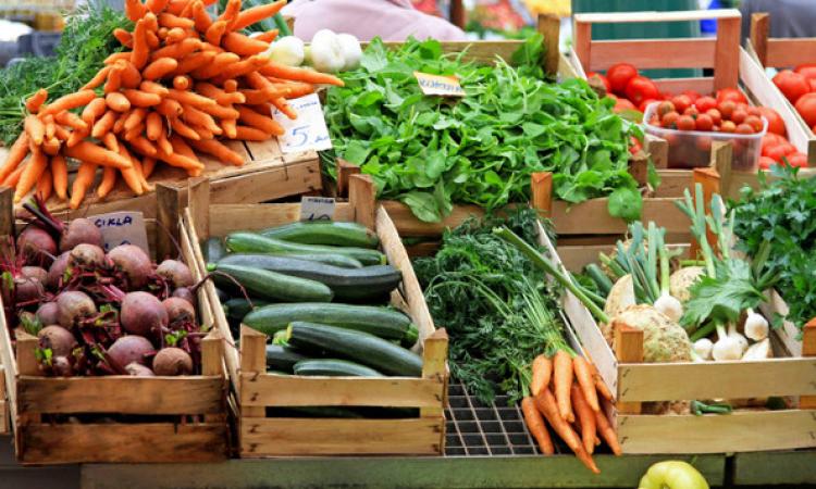 Camerino, da sabato tornerà il mercato: lunedì riapriranno isole ecologiche, parchi e cimiteri
