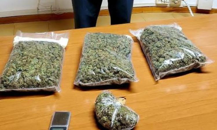 Operazione antidroga delle Fiamme Gialle tra Civitanova e Potenza Picena: un arresto e due denunce (VIDEO) Operazione antidroga delle Fiamme Gialle tra Civitanova e Potenza Picena: un arresto e due denunce (VIDEO)