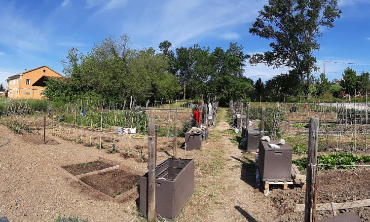 Recanati, orti sociali: una risorsa ai tempi del Covid-19