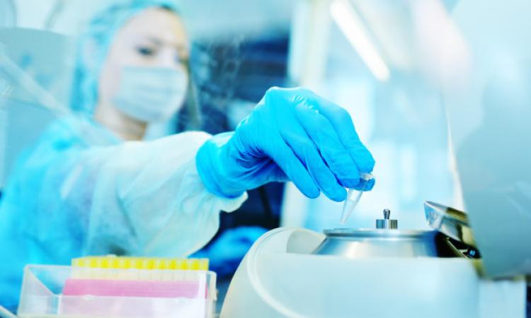 Covid Marche, 1033 nuovi casi nelle ultime 24 ore: positivo quasi un tampone su quattro Covid Marche, 1033 nuovi casi nelle ultime 24 ore: positivo quasi un tampone su quattro