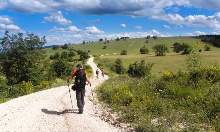 "Le Marche in Cammino", al via un progetto per promuovere il turismo "lento" "Le Marche in Cammino", al via un progetto per promuovere il turismo "lento"