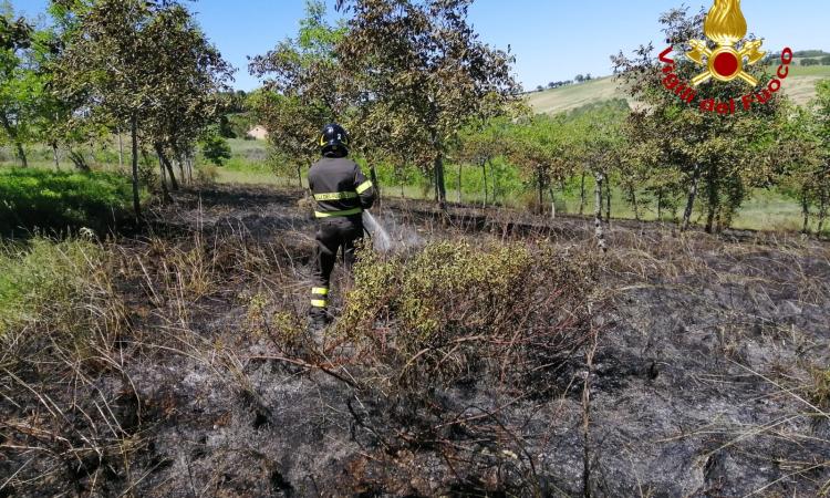 Macerata, fiamme in un campo a Villa Potenza: coinvolta un'area di 10000 metri quadrati (VIDEO)