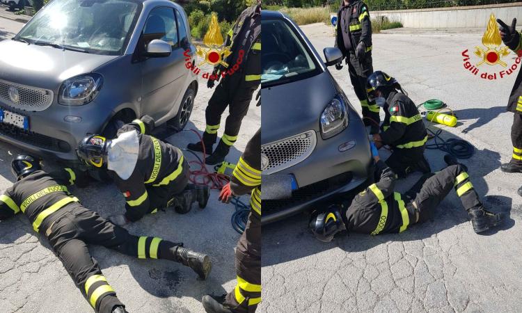 Corridonia, cane rimane incastrato sotto un'auto: liberato dai vigili del fuoco