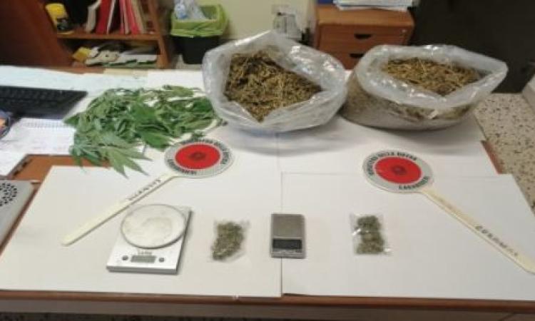 Percepisce il reddito di cittadinanza e spaccia marijuana: arrestato 58enne di Petriolo