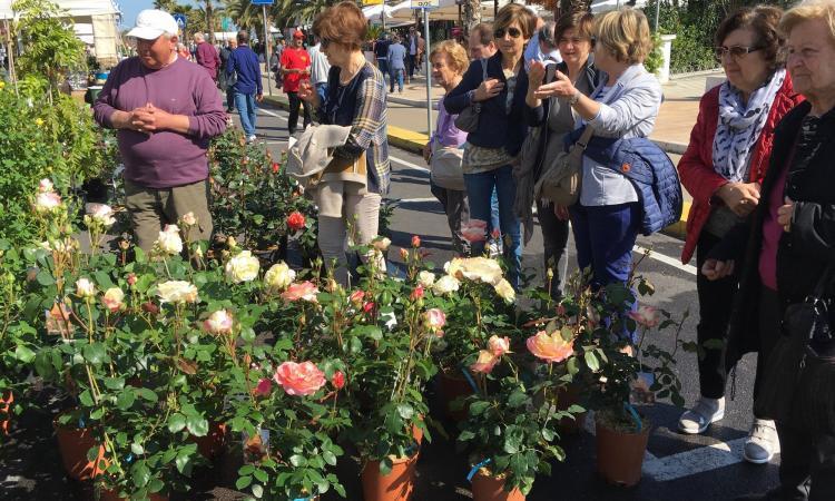 Civitanova riparte dai fiori: domenica 31 maggio torna la mostra mercato florovivaistica