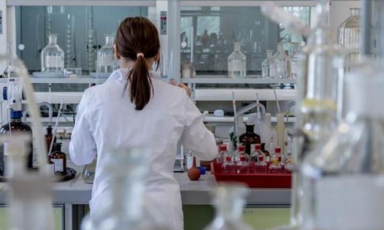 Coronavirus, 4 nuovi casi su 586 tamponi analizzati nelle ultime 24 ore: nessuno nel maceratese Coronavirus, 4 nuovi casi su 586 tamponi analizzati nelle ultime 24 ore: nessuno nel maceratese