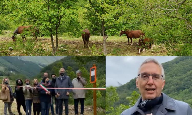 Bolognola, Ceriscioli inaugura un nuovo percorso fitness: "Rimettiamoci in forma dopo il Covid"