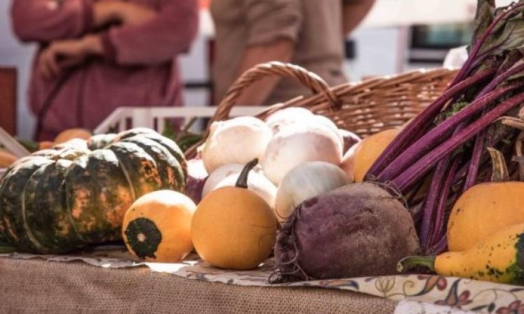 Civitanova, sabato 6 giugno torna il Mercato della terra Civitanova, sabato 6 giugno torna il Mercato della terra