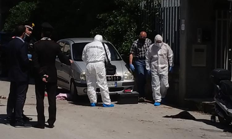 Civitanova, accoltellamento in via Pavese: dopo una lunga caccia all'uomo, catturato il fuggitivo (FOTO) Civitanova, accoltellamento in via Pavese: dopo una lunga caccia all'uomo, catturato il fuggitivo (FOTO)