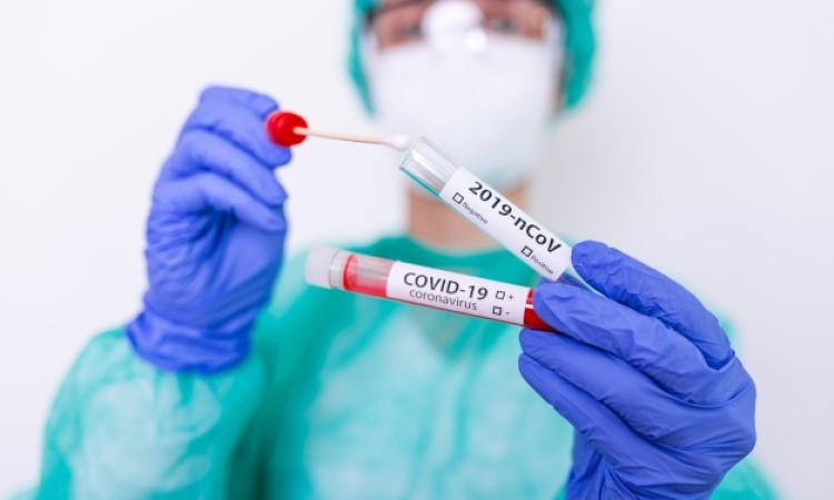 Covid, individuati nelle Marche i primi 3 casi della variante Centaurus. Sale l'incidenza