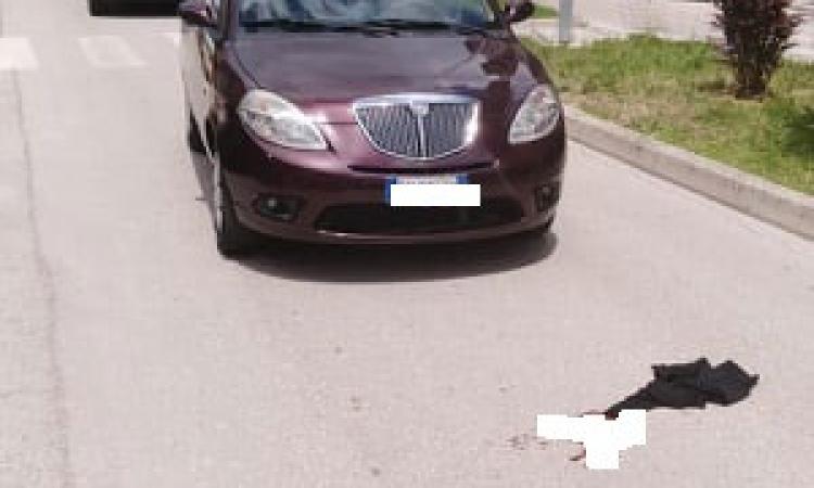 Tolentino, investimento in via M.L. King: una donna trasportata a Torrette in codice rosso Tolentino, investimento in via M.L. King: una donna trasportata a Torrette in codice rosso