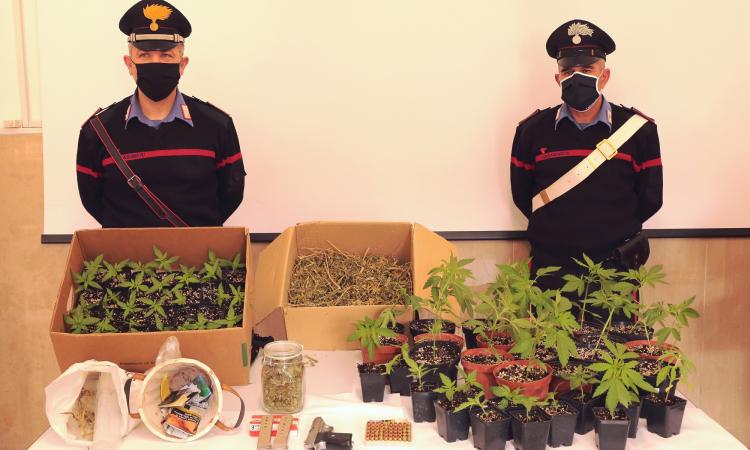 Scacco alla 'Ndrangheta: 22 arresti, blitz anche in un casolare nel Maceratese Scacco alla 'Ndrangheta: 22 arresti, blitz anche in un casolare nel Maceratese