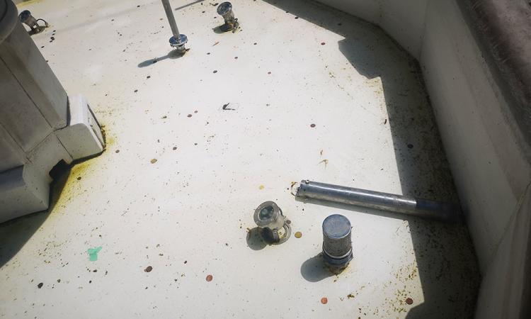 Tolentino, vandali in azione: spezzato il galleggiante della fontana in piazza