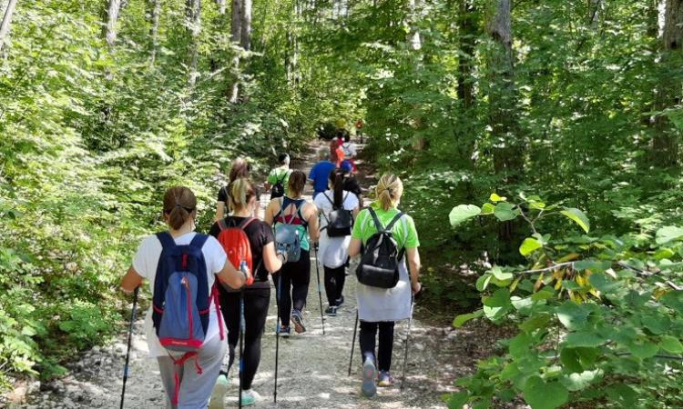 “Salute in cammino Treia”, dal 2 luglio partirà l'iniziativa volta a promuovere stili di vita sani “Salute in cammino Treia”, dal 2 luglio partirà l'iniziativa volta a promuovere stili di vita sani