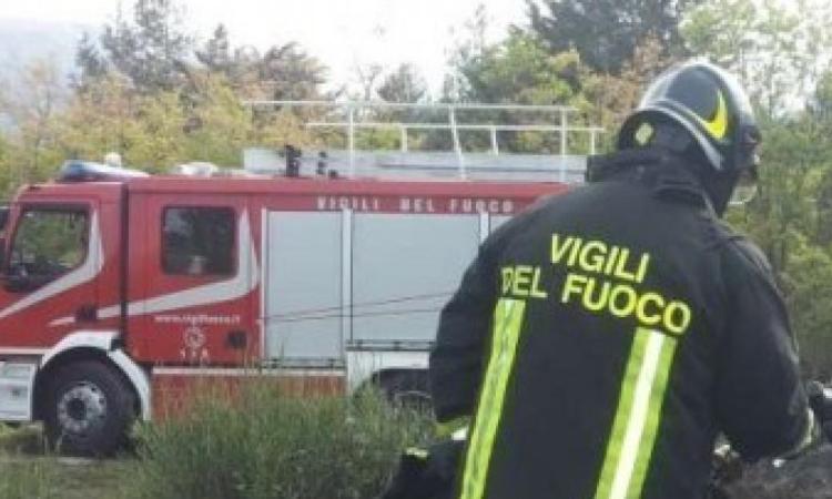 Treia, scoppia incendio all'esterno di un casolare: in fiamme alberi e una legnaia