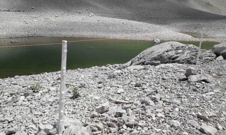 Lago di Pilato: realizzata una recinzione per proteggere il chirocefalo