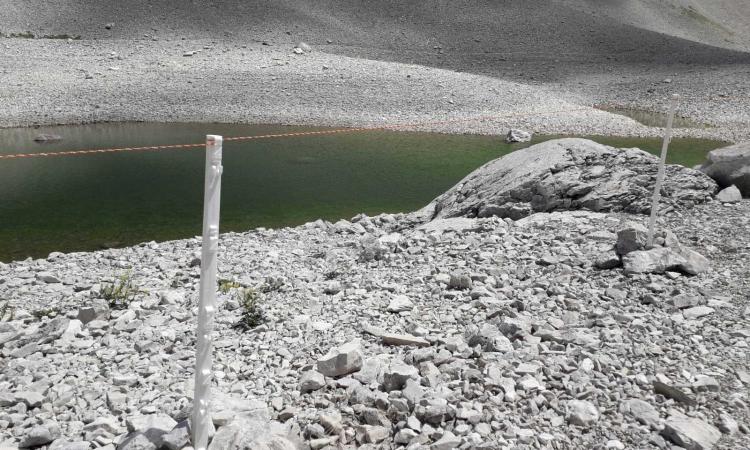 Lago di Pilato: realizzata una recinzione per proteggere il chirocefalo Lago di Pilato: realizzata una recinzione per proteggere il chirocefalo