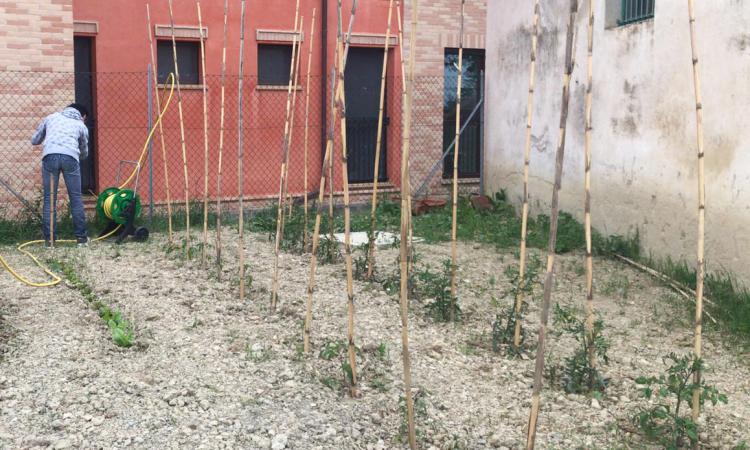 Loro Piceno, al centro "Monti Azzurri" la terapia dell'orto come beneficio e rinascita Loro Piceno, al centro "Monti Azzurri" la terapia dell'orto come beneficio e rinascita