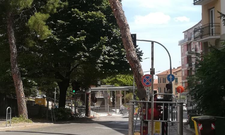 Lavori in via Pace a Macerata, la protesta: "Marciapiedi disastrati e stanno tagliando un altro albero" (FOTO)