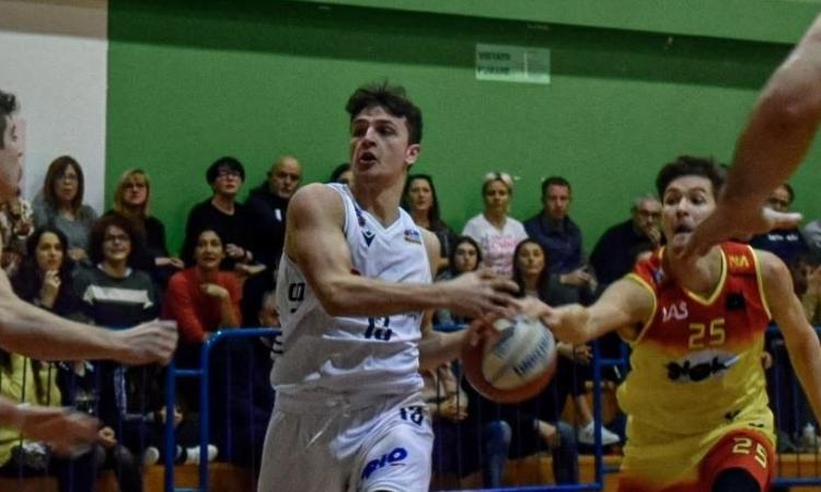 Basket, altra conferma in casa Virtus Civitanova: Matteo Felicioni resta in biancoblu Basket, altra conferma in casa Virtus Civitanova: Matteo Felicioni resta in biancoblu