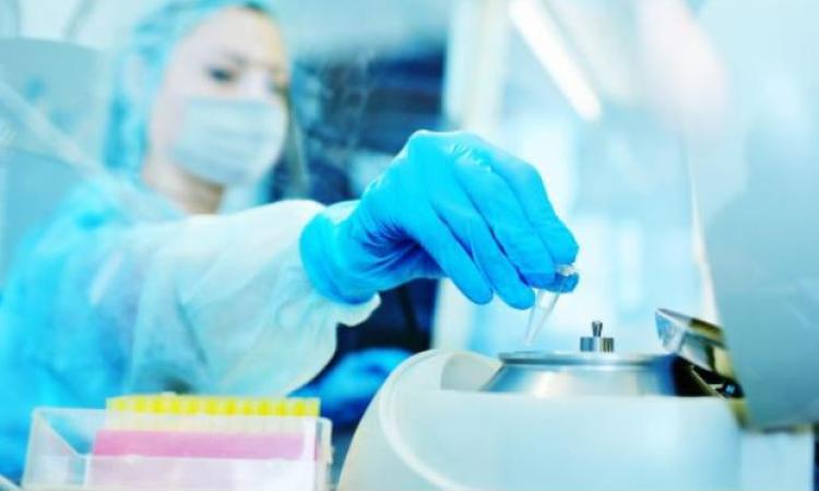 Coronavirus Marche, un caso positivo su oltre 500 tamponi effettuati Coronavirus Marche, un caso positivo su oltre 500 tamponi effettuati