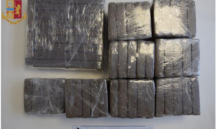 Oltre 23 kg di stupefacenti in valigia e nella lavatrice: arrestato il "grossista" del fermano (FOTO) Oltre 23 kg di stupefacenti in valigia e nella lavatrice: arrestato il "grossista" del fermano (FOTO)