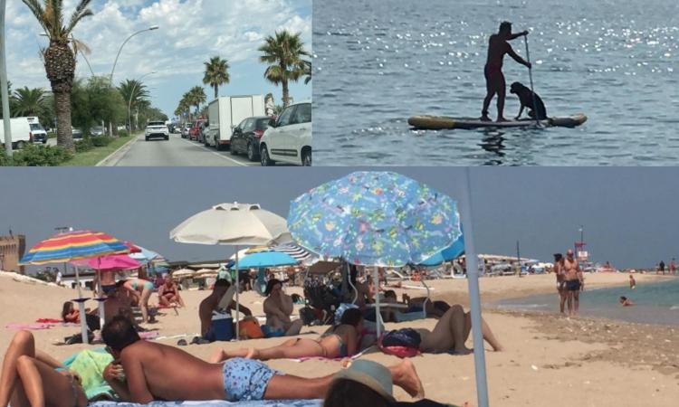 Civitanova, il ferragosto non sente Covid: dal lungomare nord al sud, la vita di spiaggia è (quasi) quella di sempre Civitanova, il ferragosto non sente Covid: dal lungomare nord al sud, la vita di spiaggia è (quasi) quella di sempre