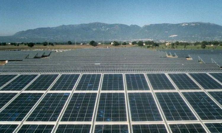 Treia, impianto fotovoltaico in località Berta: "dannoso per quell'area agricola"