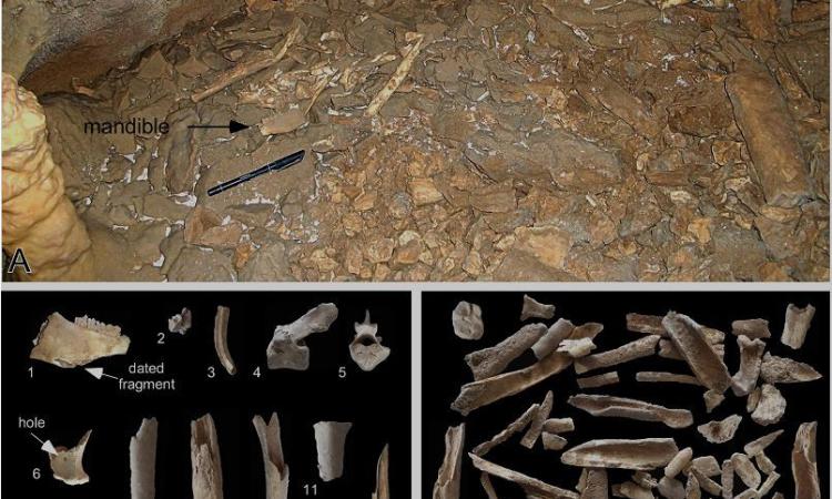 Frasassi, scoperta una grotta frequentata dall'uomo 16mila anni fa: anche Unicam nel gruppo di ricerca