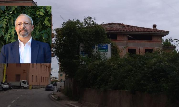 Macerata, in via Trento segnaletica stradale coperta dalle piante. Livi: "Situazione inaccettabile" Macerata, in via Trento segnaletica stradale coperta dalle piante. Livi: "Situazione inaccettabile"