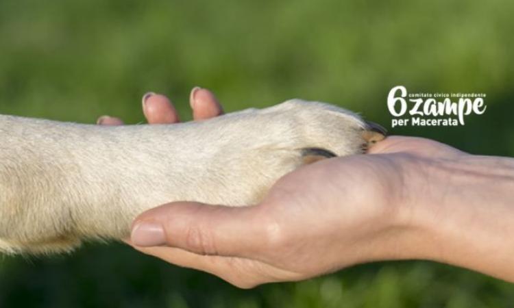 Macerata, il Comitato 6 Zampe: "I candidati sindaco tengano conto degli animali e dei loro proprietari" Macerata, il Comitato 6 Zampe: "I candidati sindaco tengano conto degli animali e dei loro proprietari"