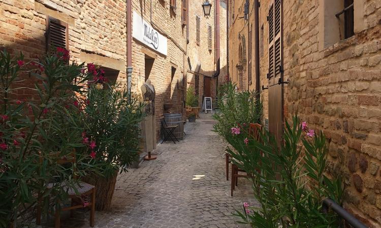 Ripe San Ginesio, concerti, passeggiate e visite a tema: molte le iniziative a partire da domenica 23 agosto Ripe San Ginesio, concerti, passeggiate e visite a tema: molte le iniziative a partire da domenica 23 agosto