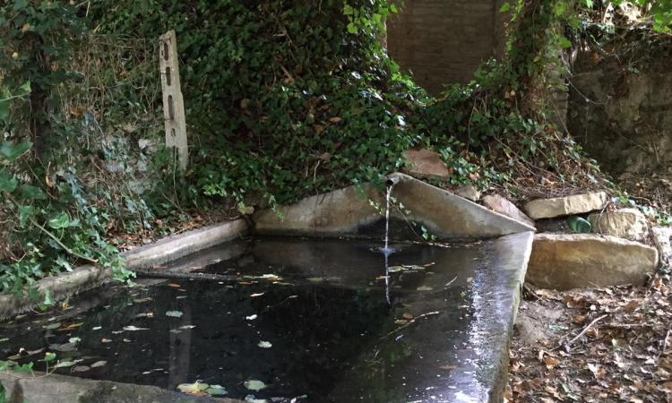Montelupone, al via la pulizia delle fonti rurali Montelupone, al via la pulizia delle fonti rurali
