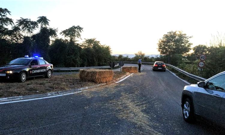 Balle di fieno perse in superstrada, intervengono i Carabinieri (FOTO)