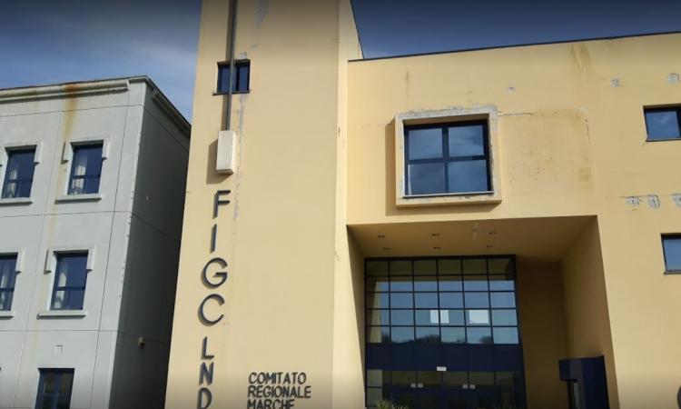 Calcio dilettanti, cambiano i format dalla Promozione in giù: invariata l'Eccellenza Calcio dilettanti, cambiano i format dalla Promozione in giù: invariata l'Eccellenza