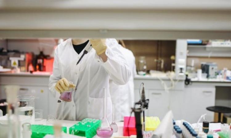 Coronavirus Marche, 17 nuovi casi su oltre 700 tamponi effettuati: 4 nel Maceratese Coronavirus Marche, 17 nuovi casi su oltre 700 tamponi effettuati: 4 nel Maceratese