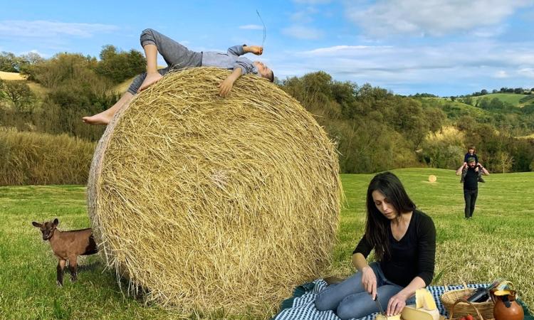 Caseifici agricoli aperti al pubblico: Unimc partner dell'iniziativa Caseifici agricoli aperti al pubblico: Unimc partner dell'iniziativa