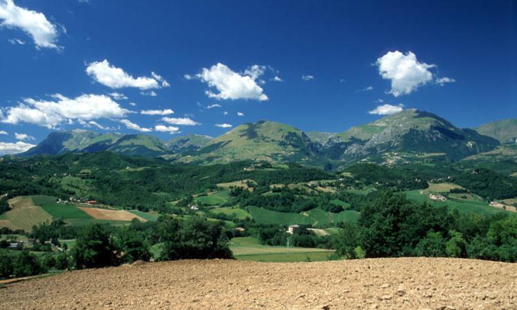 Parco dei Monti Sibillini,  emanati due bandi a sostegno degli agricoltori: scadenza il 6 ottobre