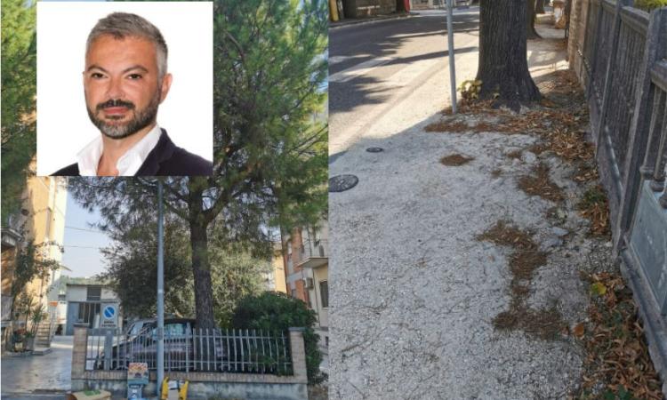 Macerata, Fratelli d'Italia:"incuria e passaggi pedonali pericolosi: a Piediripa regna il degrado"