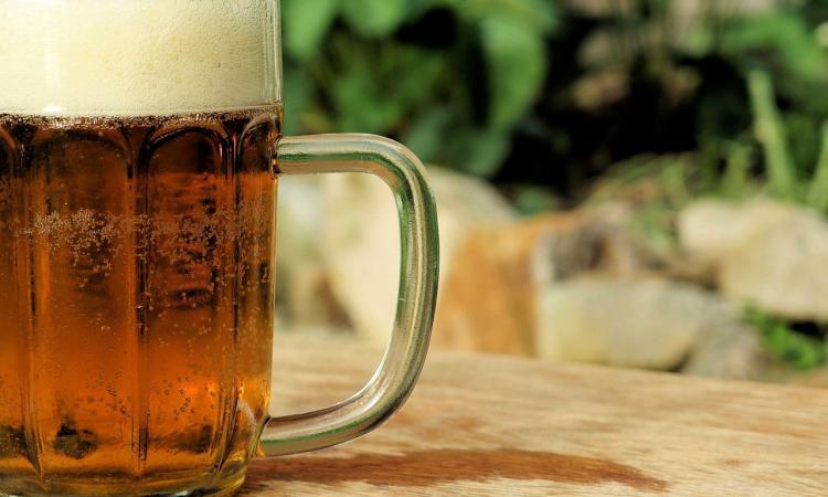 "La botanica della birra": doppia presentazione del libro a Camerino e Muccia "La botanica della birra": doppia presentazione del libro a Camerino e Muccia