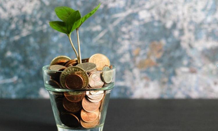 Bonus giovani: attenzione alla notizia dei 500 euro per 2 anni Bonus giovani: attenzione alla notizia dei 500 euro per 2 anni