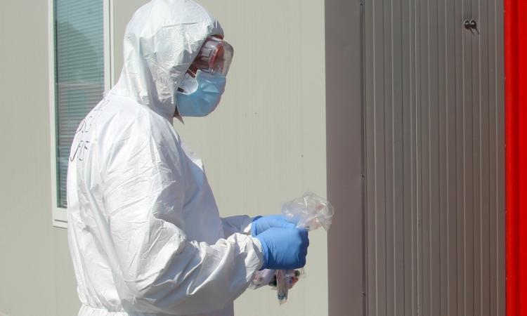 Coronavirus Marche, impennata di casi: 919 nuovi casi oggi, 206 in provincia di Macerata Coronavirus Marche, impennata di casi: 919 nuovi casi oggi, 206 in provincia di Macerata