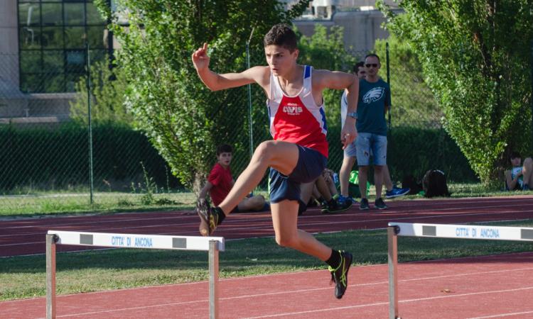 Atletica Avis Macerata, i successi nella Coppa Giovani portano 9 atleti ai Campionati Italiani (FOTO) Atletica Avis Macerata, i successi nella Coppa Giovani portano 9 atleti ai Campionati Italiani (FOTO)