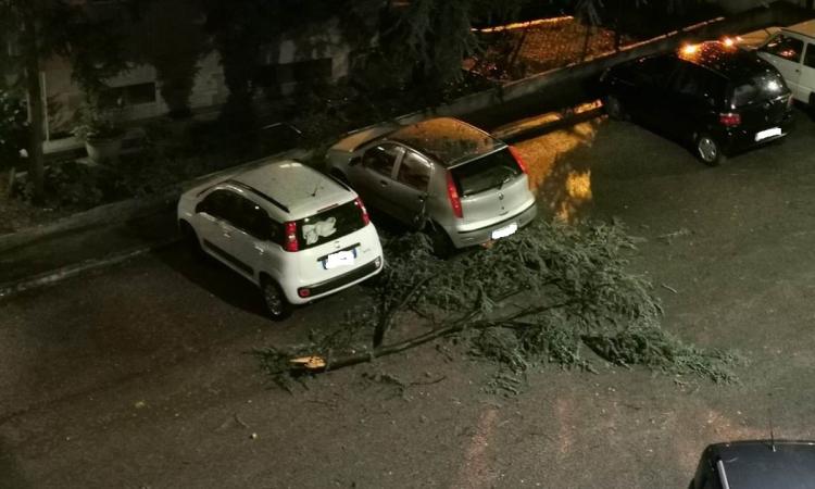 Maltempo nel Maceratese, Vigili del Fuoco ancora in azione Maltempo nel Maceratese, Vigili del Fuoco ancora in azione