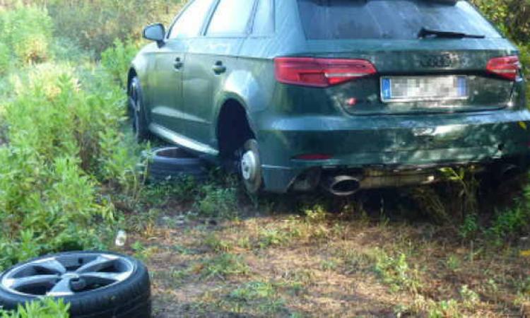 Civitanova - Va a cinghiali e trova un'Audi rubata nel bosco Civitanova - Va a cinghiali e trova un'Audi rubata nel bosco