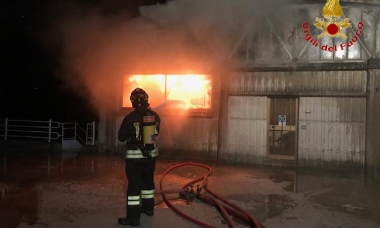 Paura ad Appignano, 3 capannoni in fiamme nella notte: Vigili del Fuoco al lavoro (VIDEO e FOTO) Paura ad Appignano, 3 capannoni in fiamme nella notte: Vigili del Fuoco al lavoro (VIDEO e FOTO)